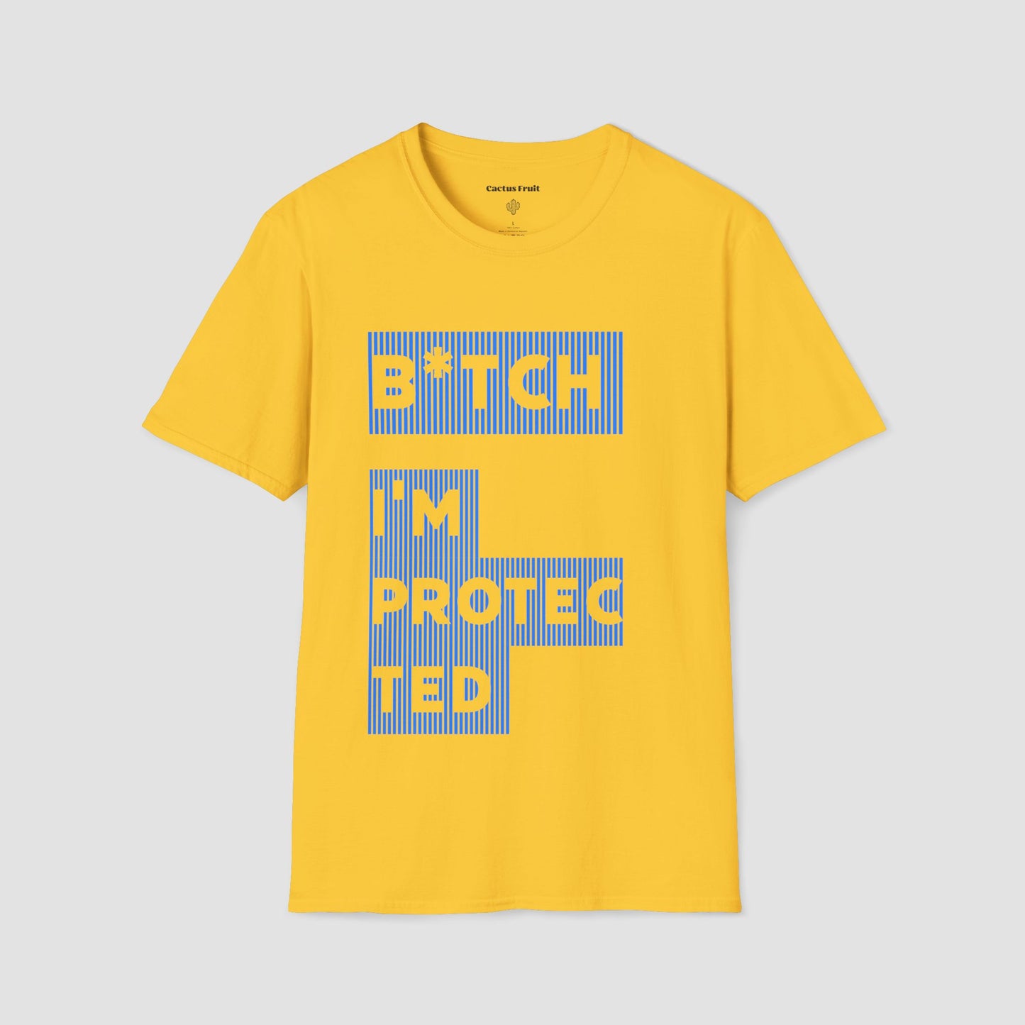 B★tch, I’m Protected Blue Stripe T-Shirt