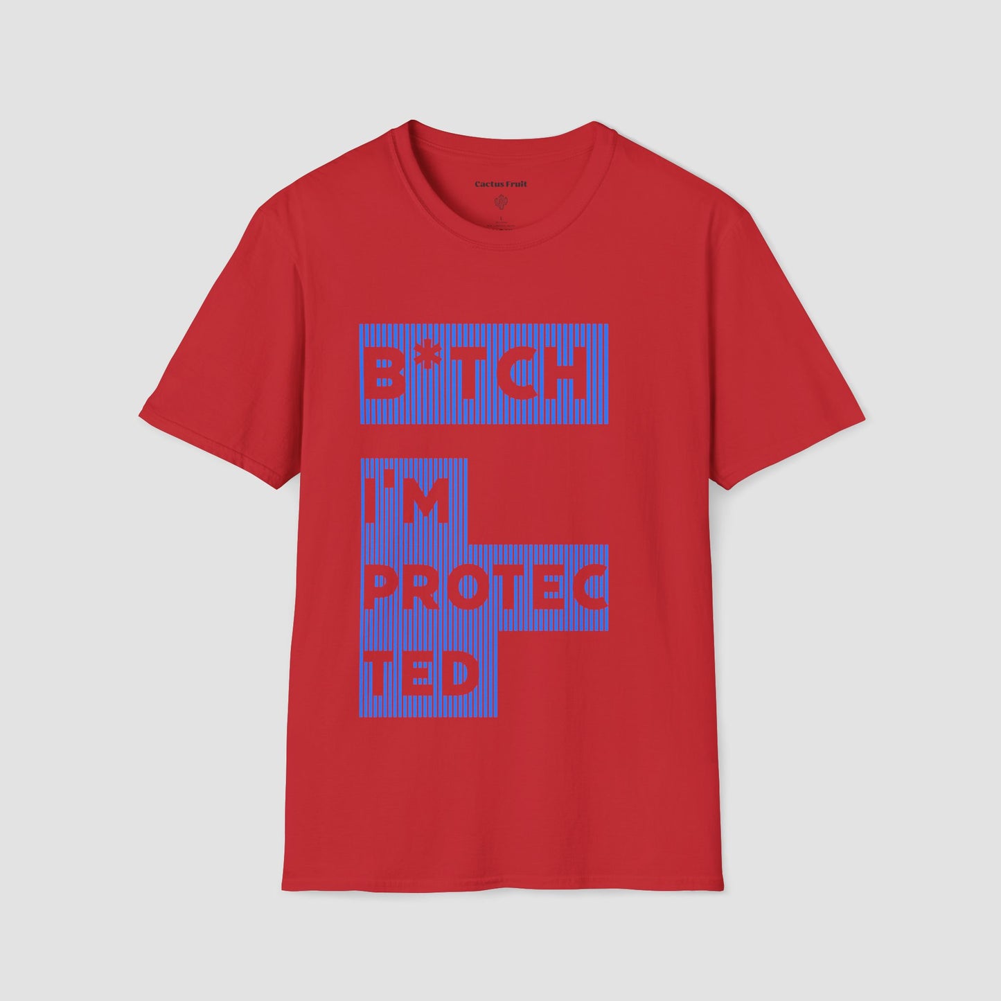 B★tch, I’m Protected Blue Stripe T-Shirt