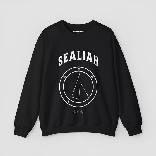 No.45 Shemhamphorasch Guardian Angel "Sealiah"  Sweatshirt  in Black. With the seal of Sealiah in white print on the front.