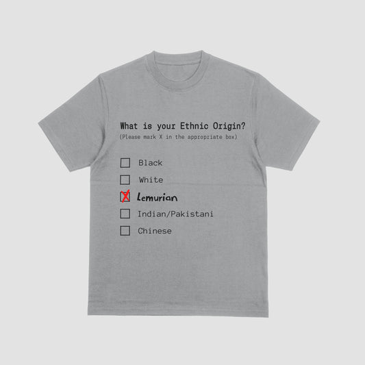 Gray t-shirt with a humorous ethnic origin questionnaire design on a light gray background